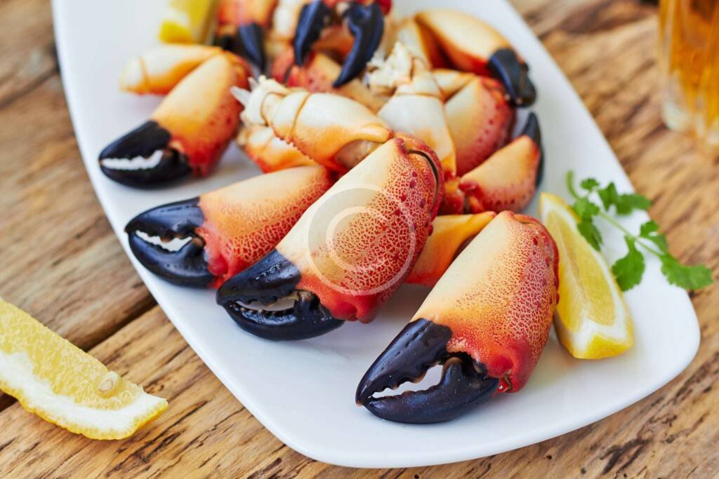 Crab Days!