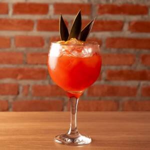 WhatsApp Image 2025-09-24 at 14.18.28 (3)